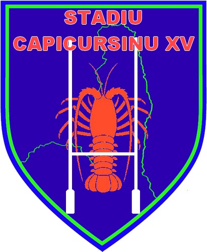 stadiu-capicursinu-xv-logo-620a8162781bf948805804.jpg